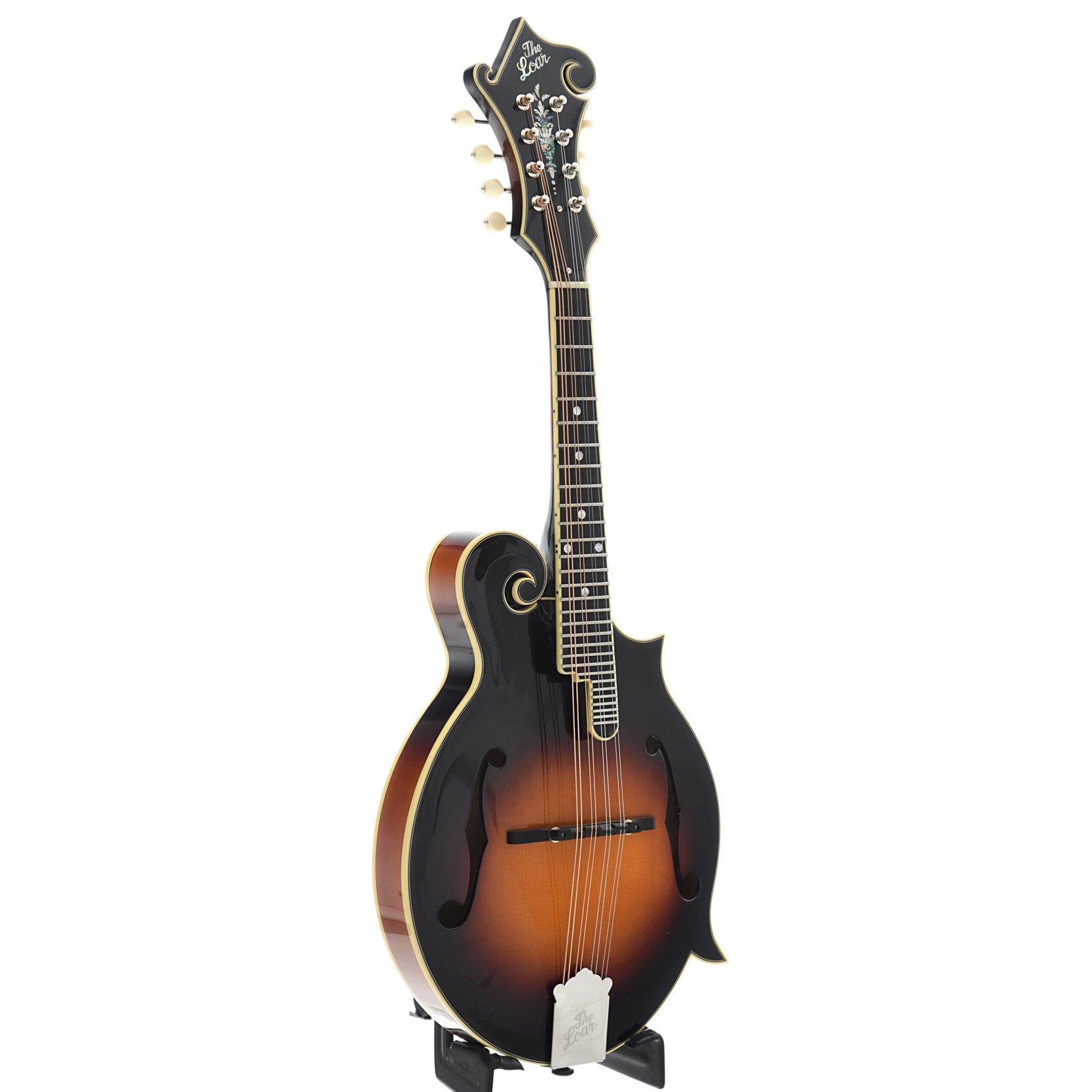 The Loar LM-600-VS Mandolin and Case – Elderly Instruments