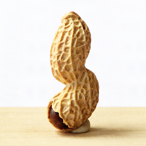 黄楊根付 落花生（2粒実入り）A【岡壱名入り】【2019年9月9日】｜京都