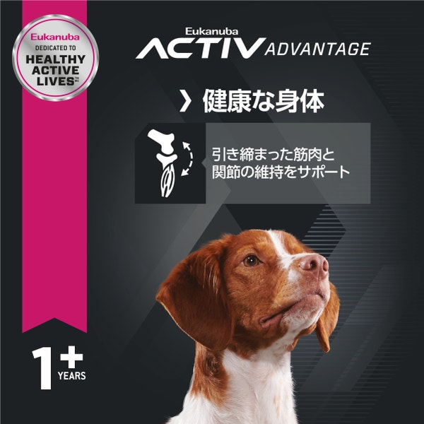 アダルト ラム＆ライス | Eukanuba JP