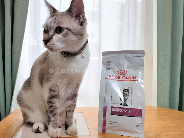 ROYAL CANIN 腎臓サポート 500g 6袋セット（合計3キロ） 【公式通販】