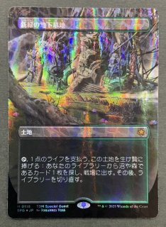 ドラゴンスケイルFOIL】新緑の地下墓地/Verdant Catacombs - Fの集会場