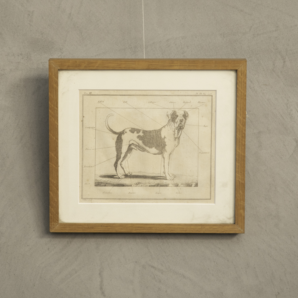 アンティーク 銅版画 – フランス、ヨーロッパのアンティーク