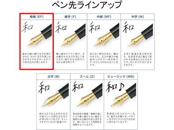 セーラー 万年筆 プロフィット スタンダード アイボリー EF 極細 通販