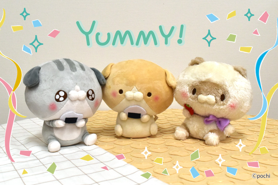 SNSで大人気の「こどもにゃんこ」「となりのにゃんこ」第2弾が