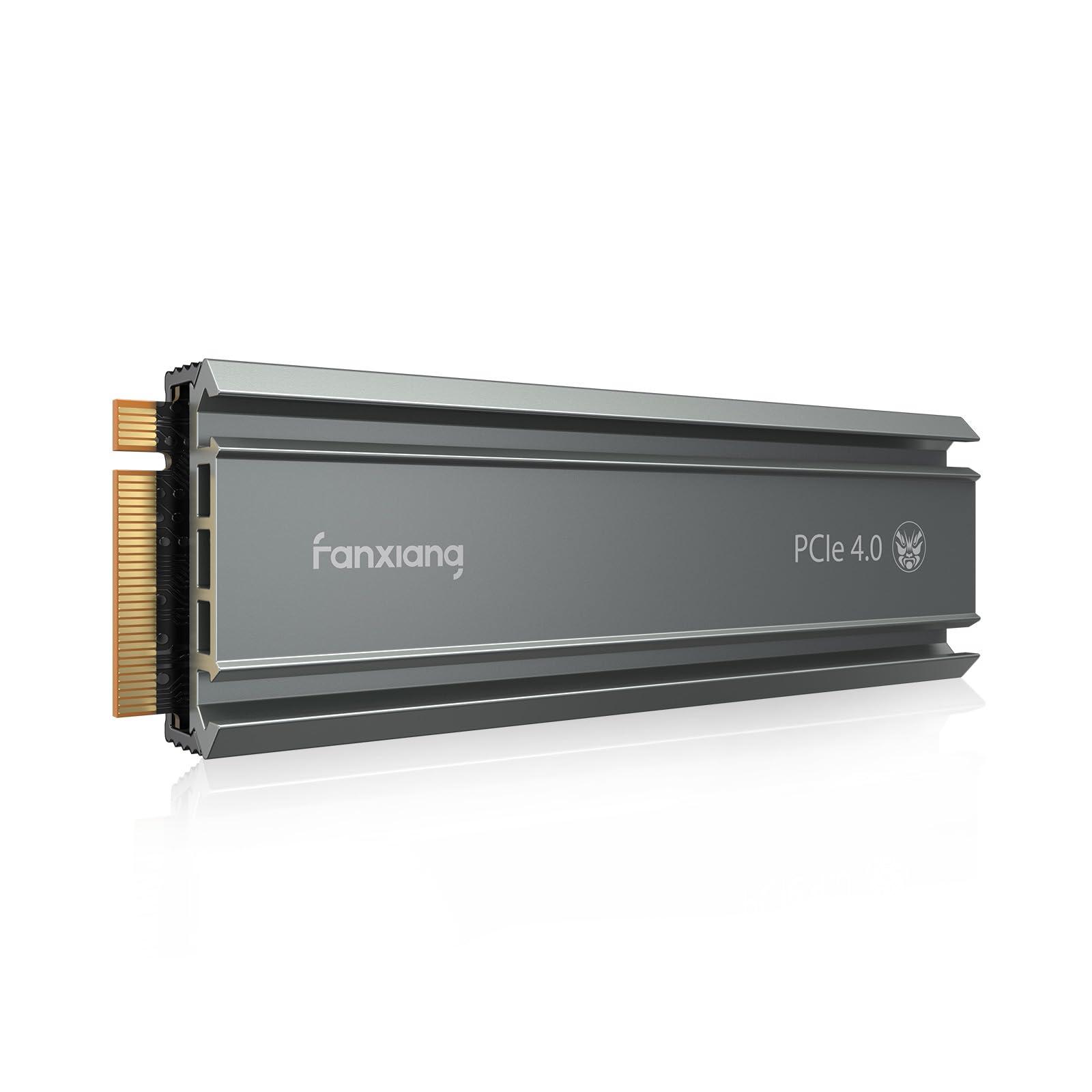 Fanxiang AP2000Pro PCIe3x4 NVMe M.2 SSD for Mac – FanXiang