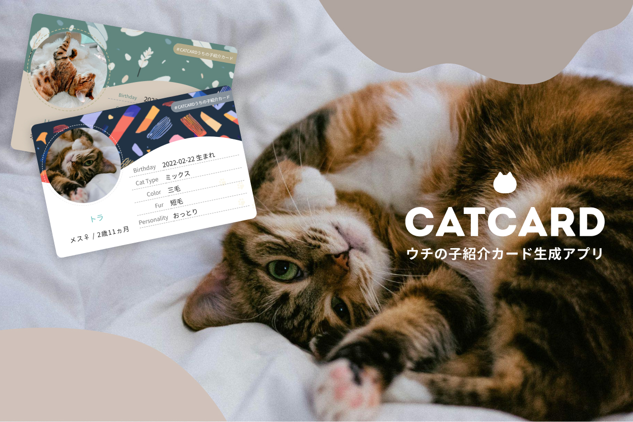 YU。猫 プロフ確認願 yu_yu様専用 確認用 YU。猫 プロフ確認願様専用