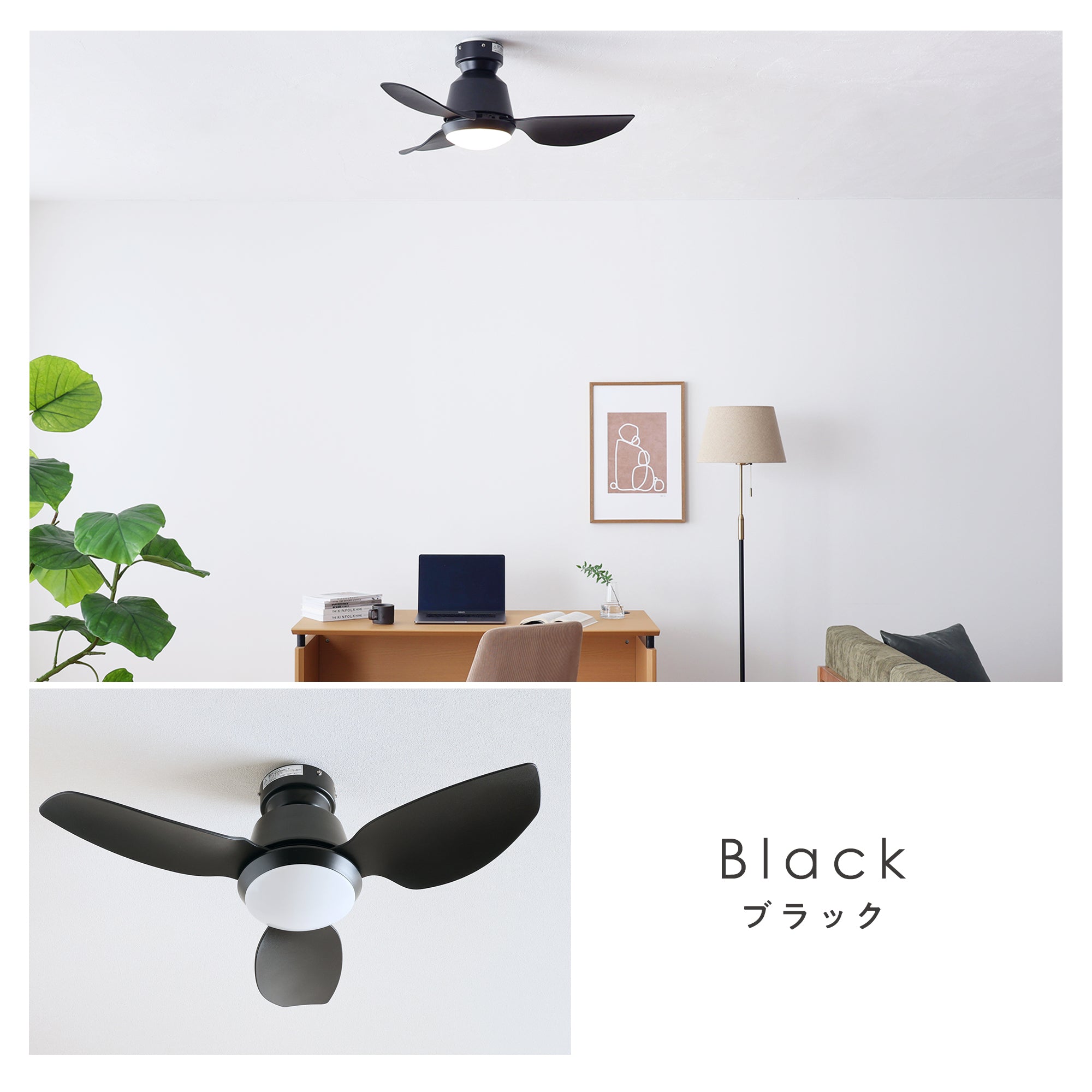 あす着] シーリングファンライト DCモーターブラシレス 静か 省エネ