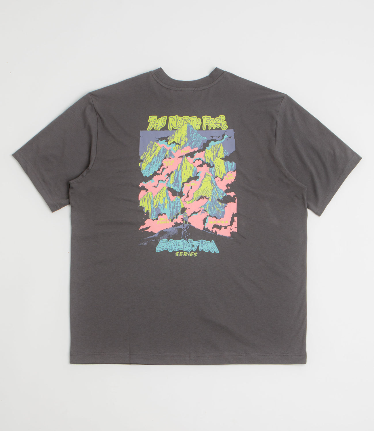 The North Face Expedition Celebration Oversized T-Shirt