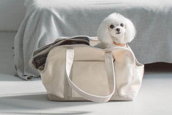 トート特集 - ドッググッズ・猫グッズ通販 free stitch（フリーステッチ）