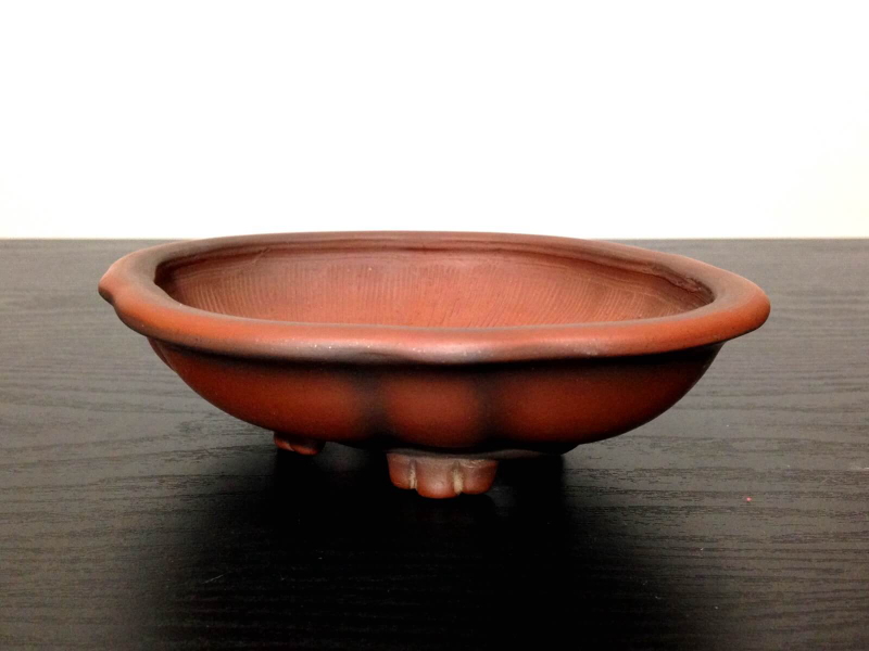 479 盆栽 盆栽鉢 植木鉢 和鉢 美芸 美芸 盆栽鉢 【公式通販】