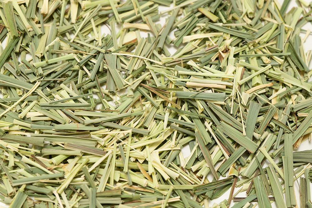 無農薬・自然農法・有機農産物などの産直通販 ふるさと21 / 深江農園