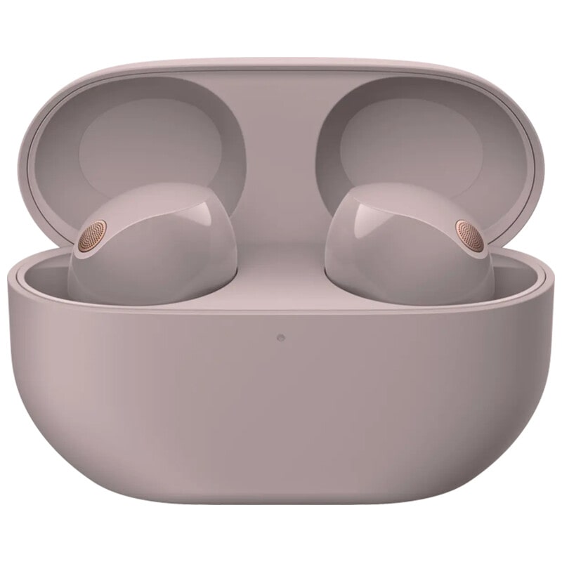 SONY WF-1000XM5 PC スモーキーピンク 新品｜フジヤエービック