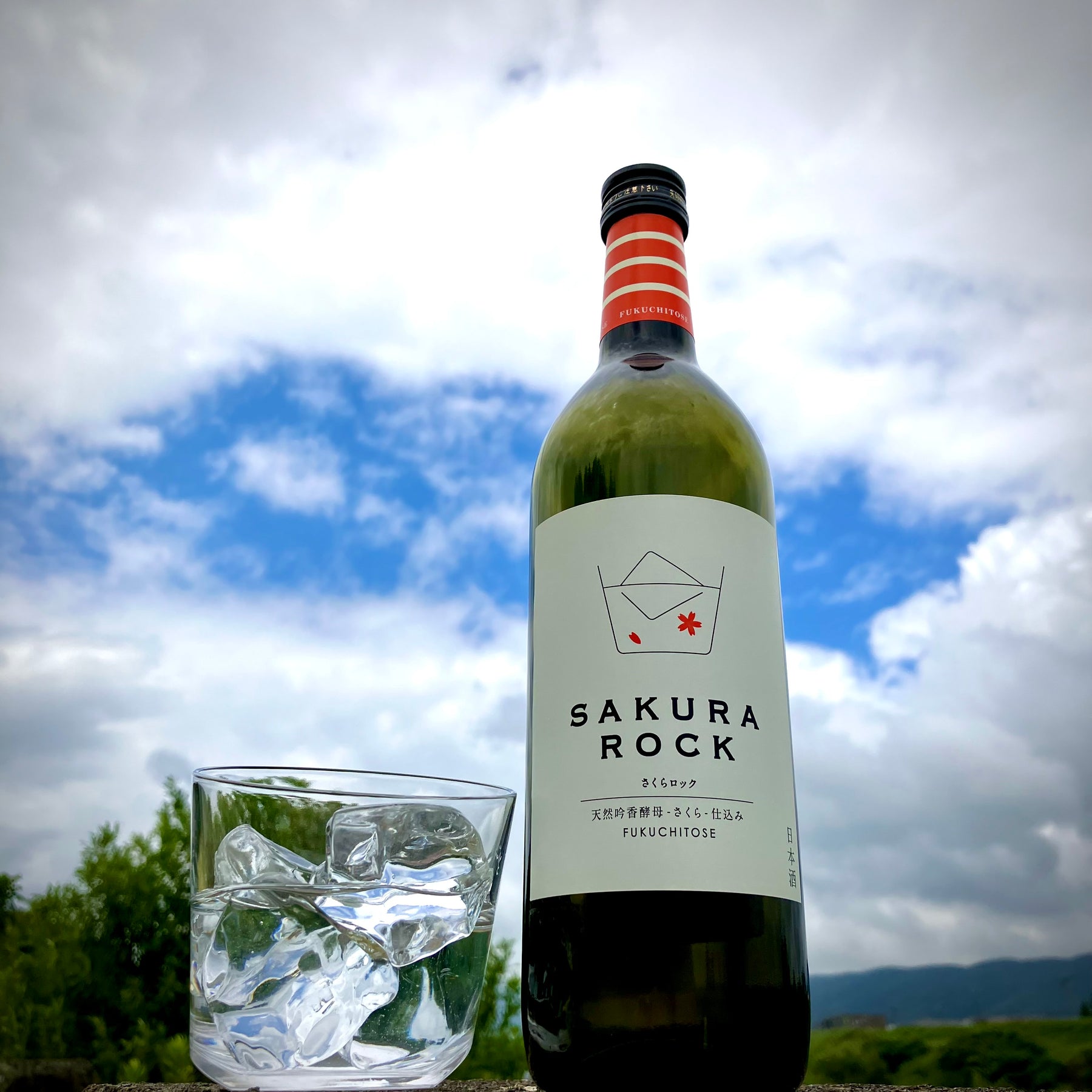 84F1F3C6-69AE-404A-9296-