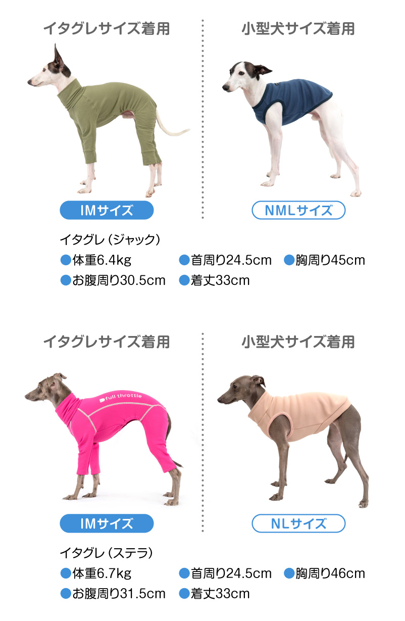 イタグレ服 イタグレウェア イタリアングレーハウンドの服 ラッシュ