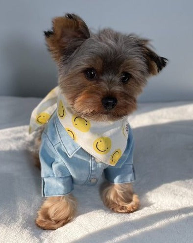 Light Denim Button-Up Dog Shirt - Affordable Fashion for your