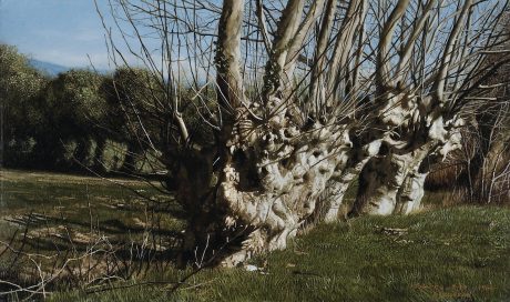 青木敏郎、絵画、油彩4号、椿レーマ杯染付皿、高級額縁、肉筆、森本草