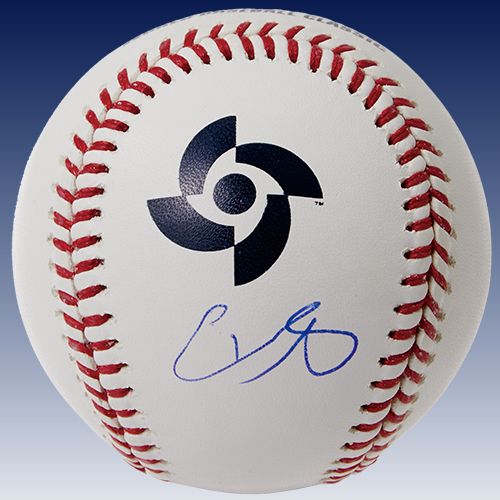 大谷翔平 サインボール 正規品 大谷翔平 直筆サインボール MLB 公式球