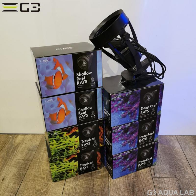 ZOOX LED RAYS Shallow Reef