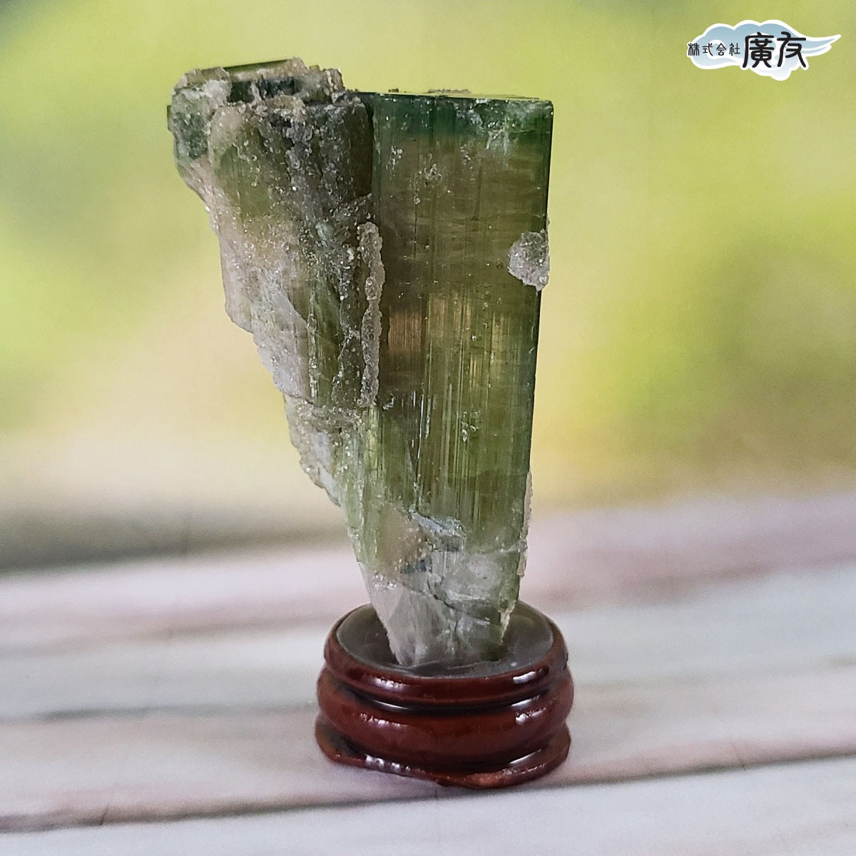 ウォーターメロントルマリン原石(台付) 現品限り(廣友)【新商品