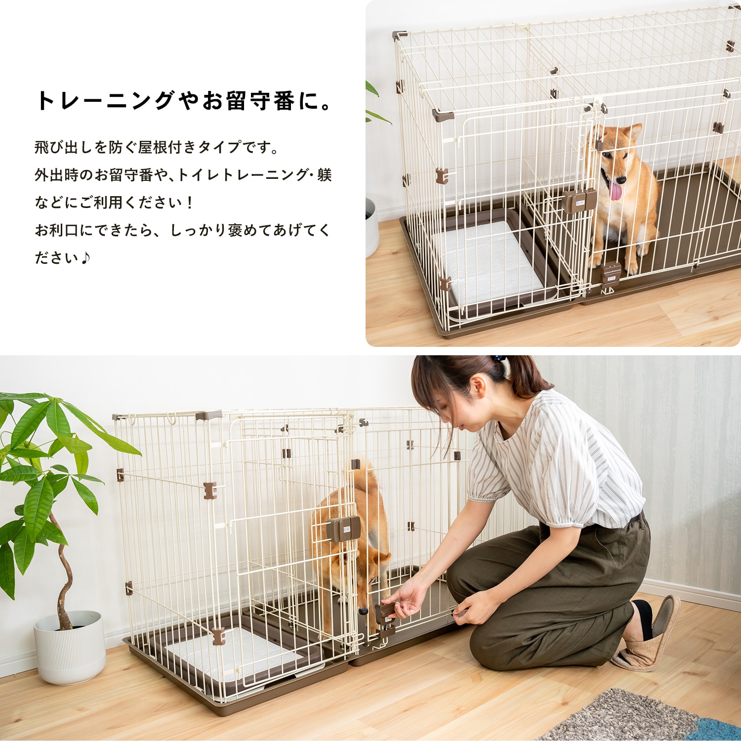 アルミドッグケージ 2頭用 ✳ 中型犬 車載用 【公式通販】