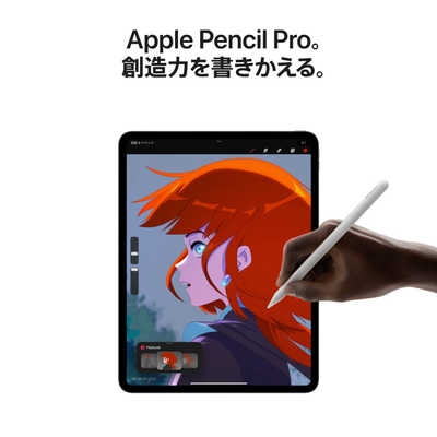 ペコ】Apple iPad Pro 13インチ 256GB M4 Apple iPad Pro 13インチ (M4