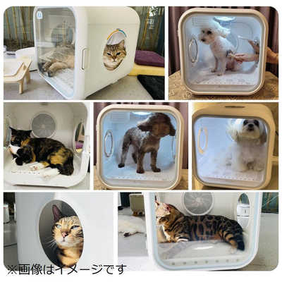 HOMERUNPET Drybo Plus ペットドライヤーハウス PD50 の通販