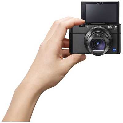 ソニー SONY コンパクトデジタルカメラ Cyber-shot DSC-RX100M3 の通販