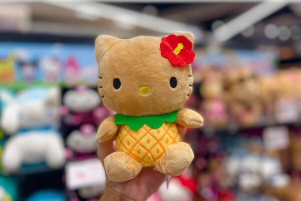 希少レア ハローキティ 日焼け ハワイ USA ぬいぐるみ 2001 サンリオ