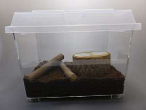 コバエシャッター(小)販売/カブトムシ・クワガタ専門店カブクワファーム