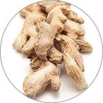 タイセイ株式会社 » 回帰水のアラン