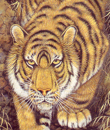 掛け軸 猛虎 （高松邦夫） 送料無料 【肉筆】【掛軸】【一間床・半間床