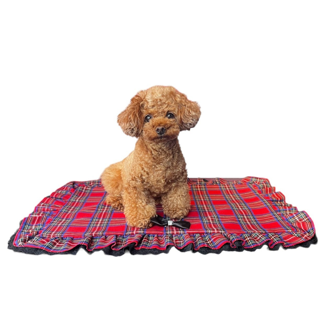 カフェマット - ワンコ服KALINA 【 kalina_wans_gogoh 】