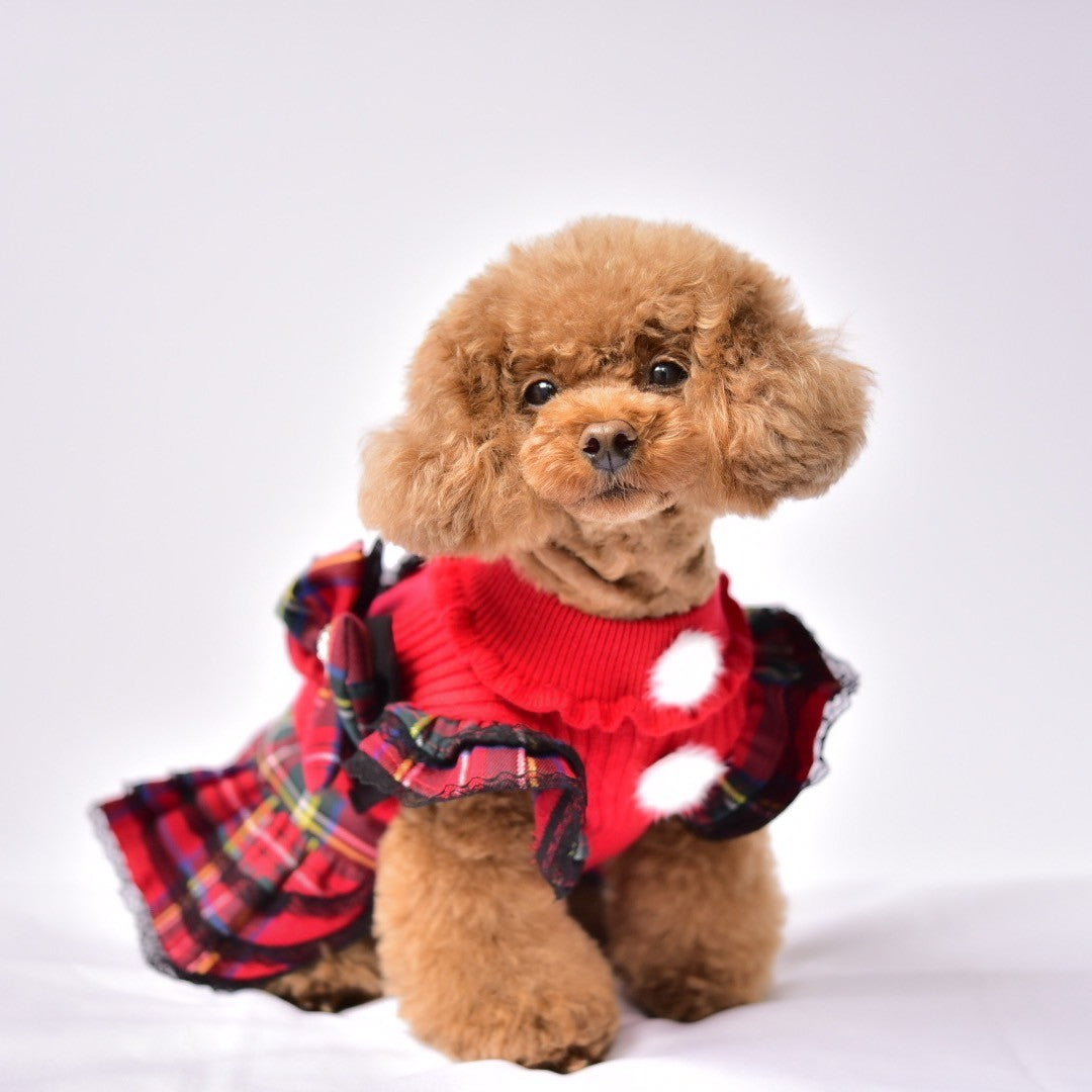 ene☆ ワンピース フリル レース カリーナ グラマーイズム 好きな方に