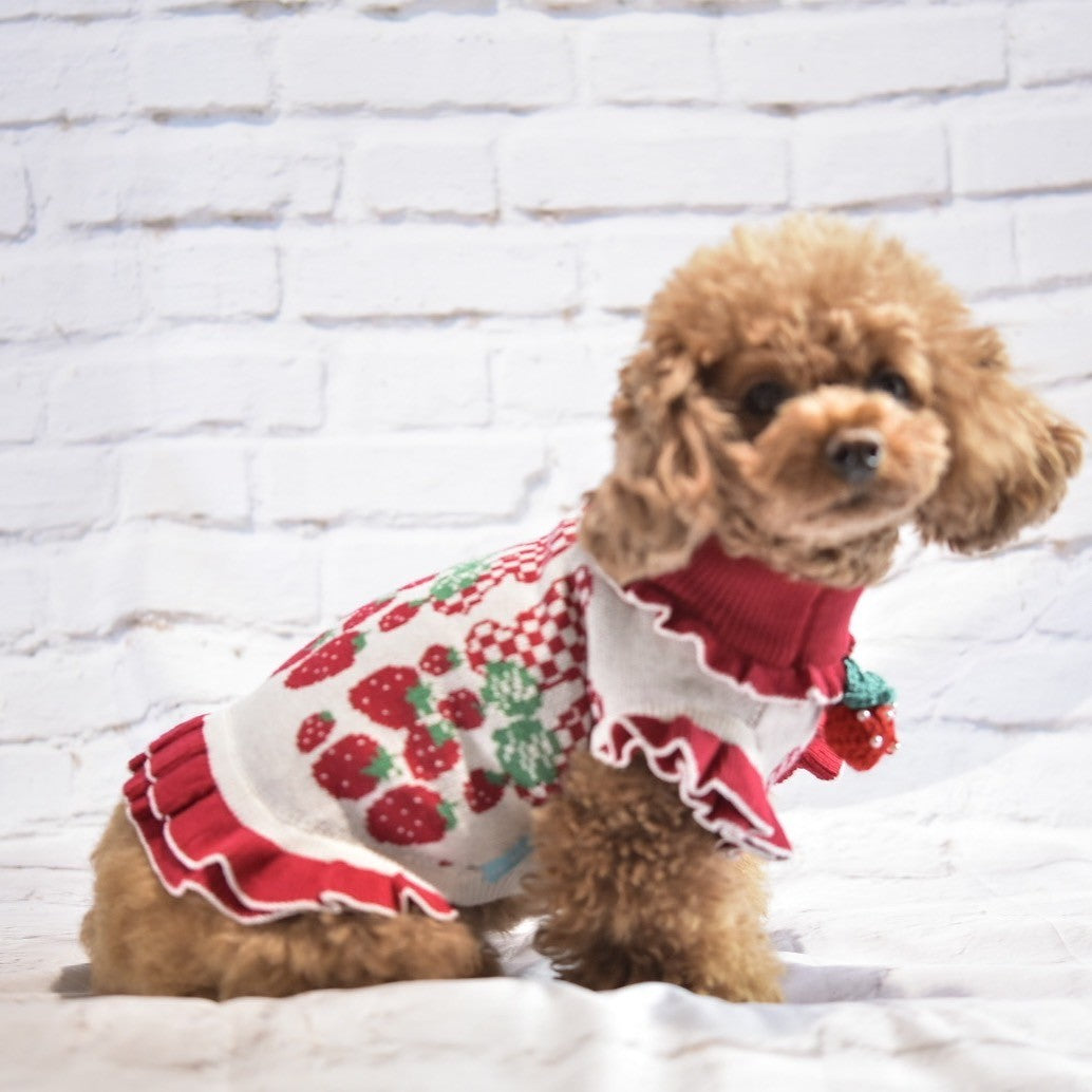 ニットリボンいちご柄フリル有 フリル無し | 犬服 小型犬 ドッグウェア