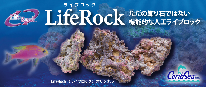 KBO カリブシー LifeRock（ライフロック）: カミハタ用品｜カミハタ