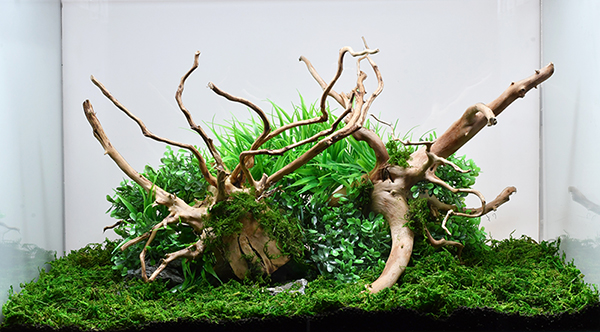 ブランチウッド10本 お買い得1円スタート！ ブランチウッド流木