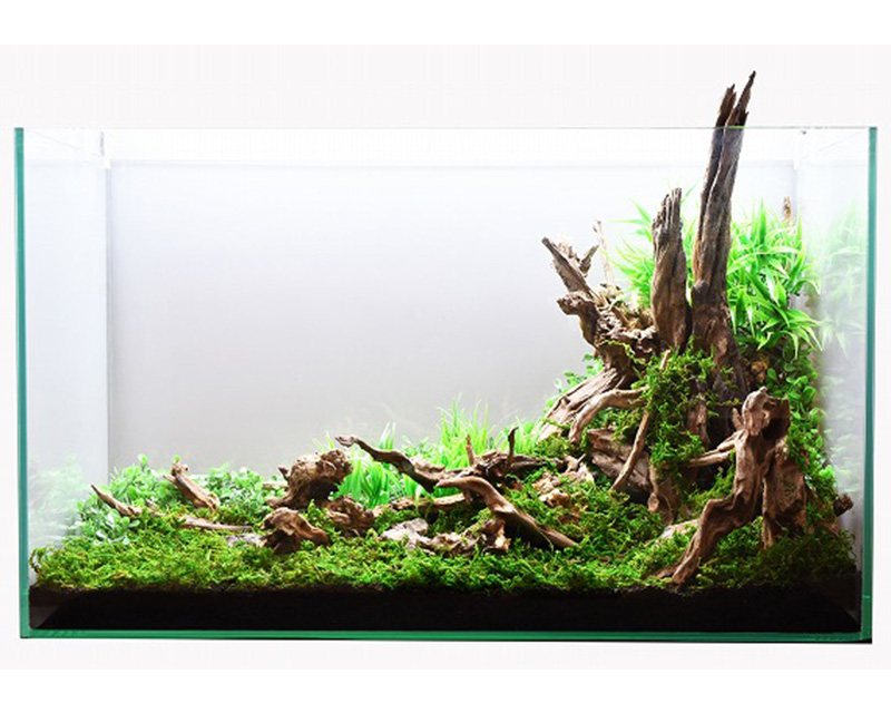 流木レイアウト 2点セット A853 流木レイアウト 2点セット A853