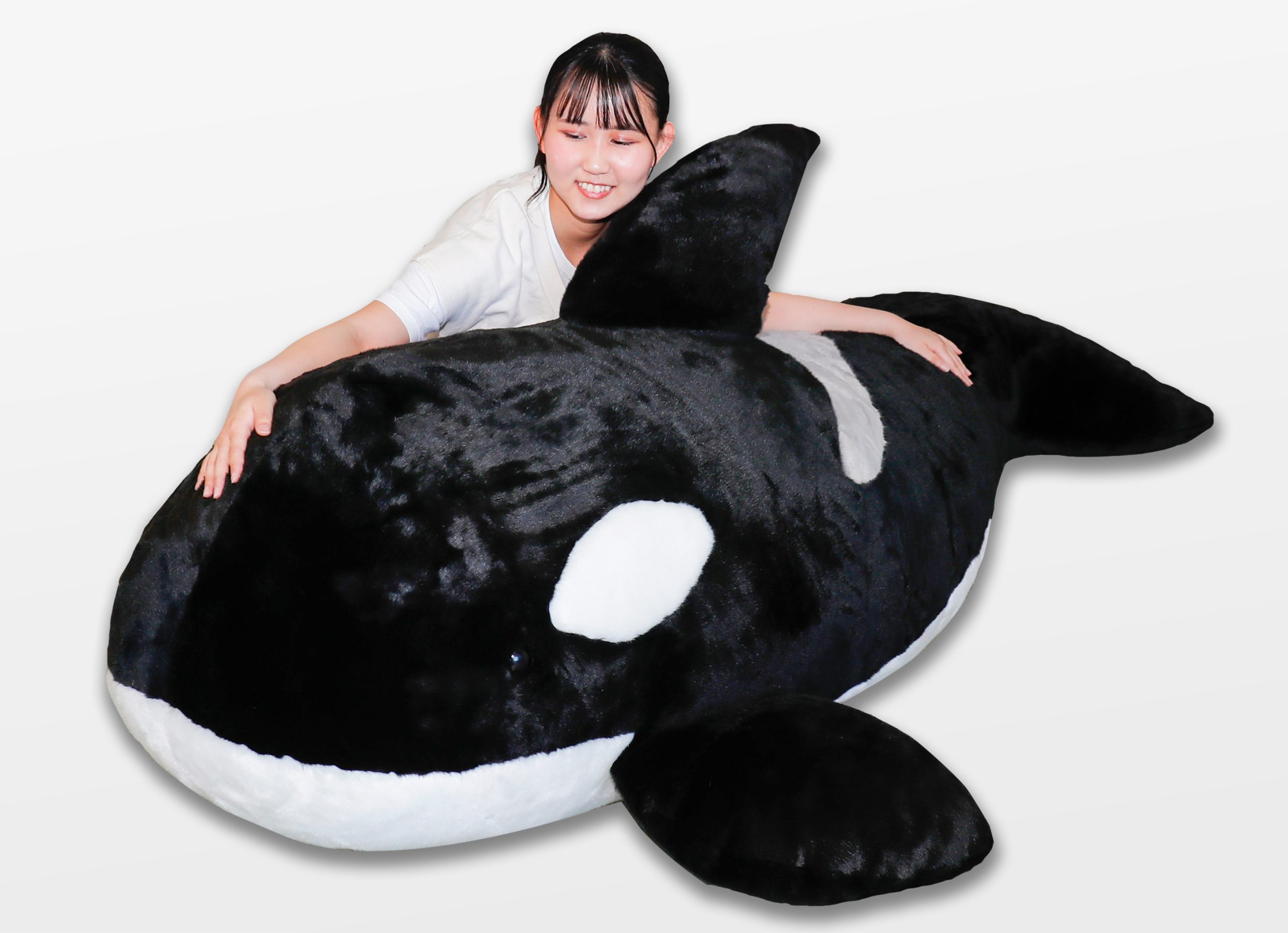 BIGシャチぬいぐるみ』販売開始｜鴨川シーワールド-東京・千葉の水族館
