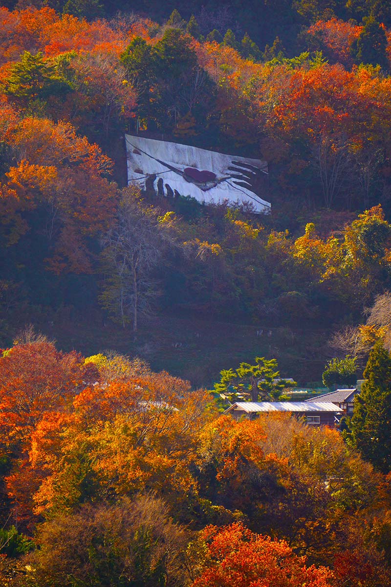燃ゆる紅葉と「ラブレター」 相模原・藤野地区から届く晩秋だけの景色