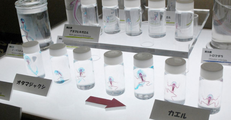 c8d1a697d2d140eada736affe1b939