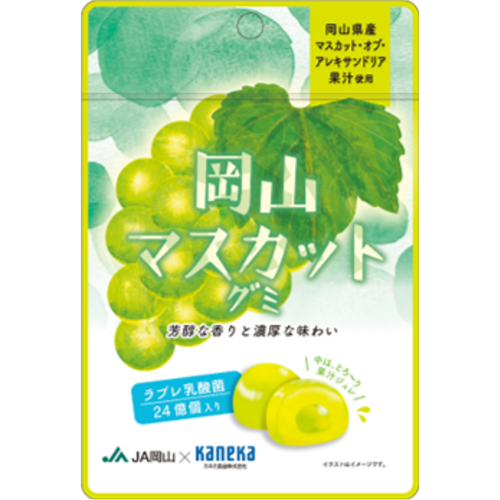 岡山マスカットグミ ラブレ乳酸菌入り | KANEKA カネカ食品株式会社