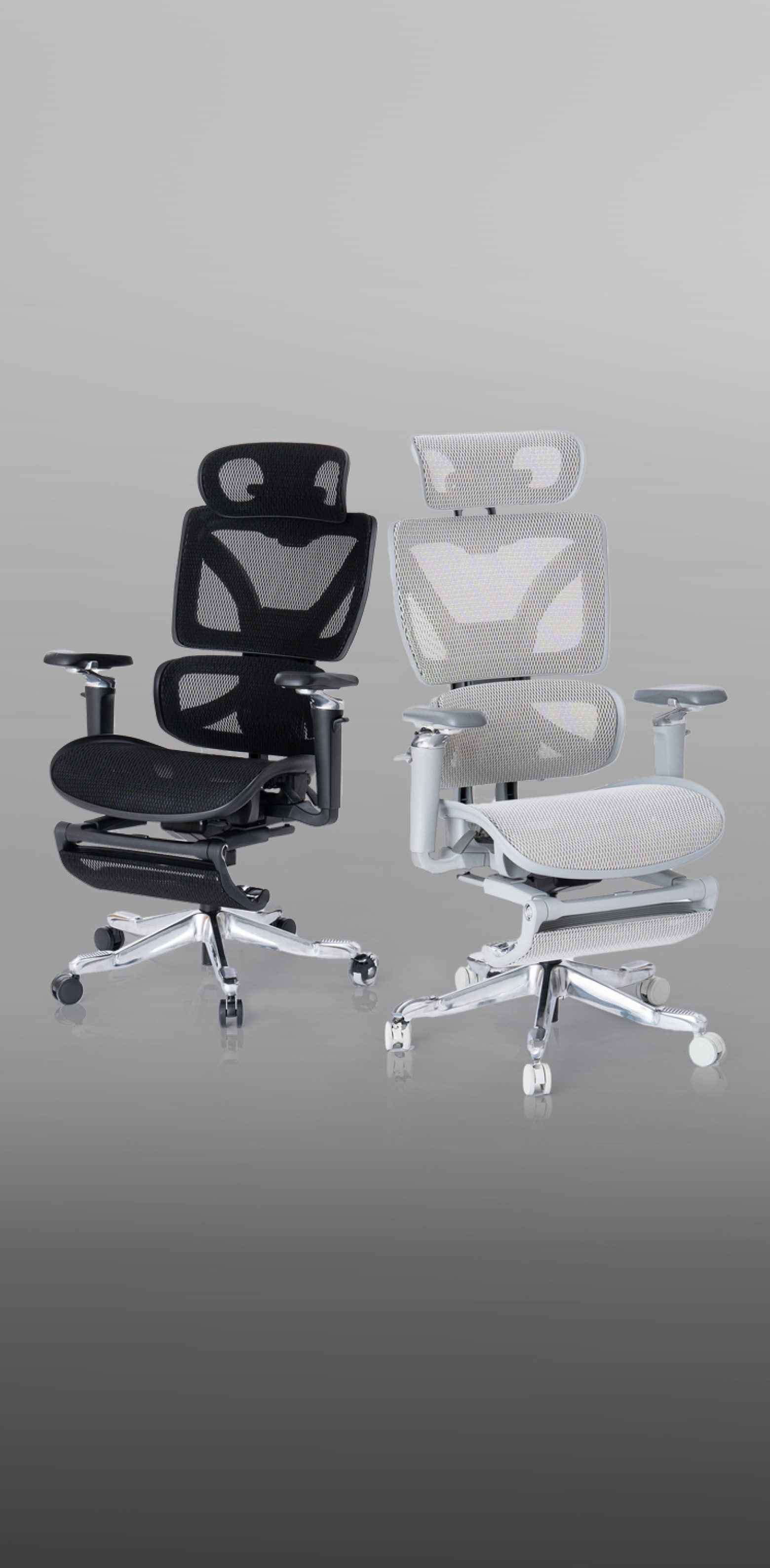 AEGIS Chair PREMIUM | かねたや家具店