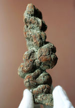 恐竜のウンチ化石、化石の通販・販売｜厳選した本物の恐竜のウンチ化石