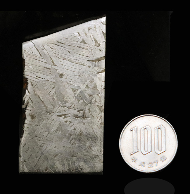 ムオニナルスタ（Muonionalusta）鉄隕石スライス標本 - 約100万年前に