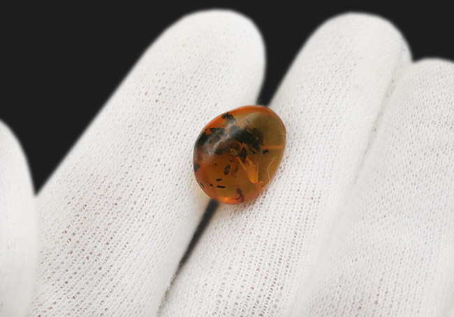 映画『ジュラシック・パーク』初代で話題になったレジェンドアンバー