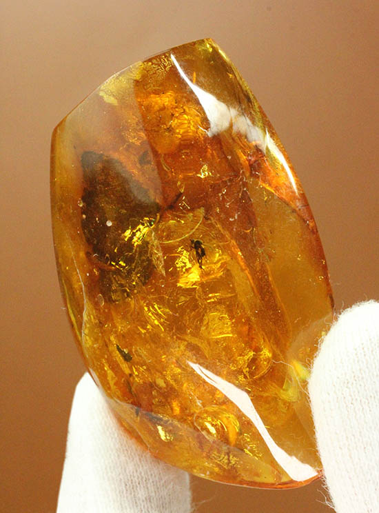 バルト海産 虫入り琥珀 12個セット 全て虫入り 本物保証 良い