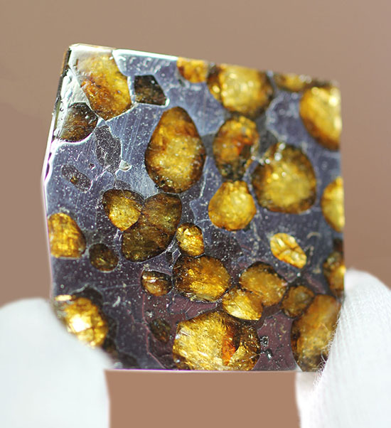 マントルと核の両方に起源を持つ石鉄隕石（最も美しい隕石）、ブラヒン