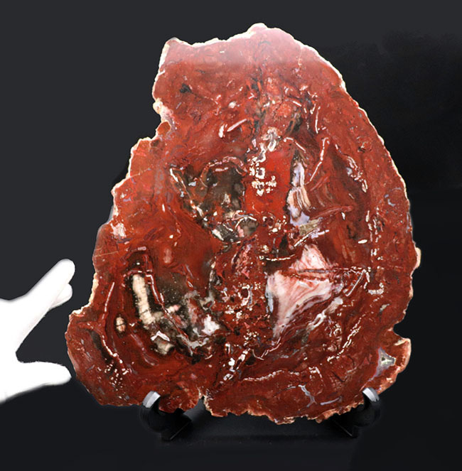 石のような硬い赤褐色の古壺 石のような硬い赤褐色の古壺 石のような