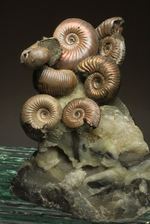 アンモナイトパイライト化石黄鉄鉱アンモライト恐竜爪歯牙三葉虫