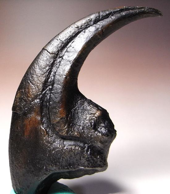 アロサウルス 爪 化石 レプリカ 約176.63mm arr16 【公式通販】